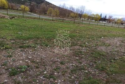 Teren intravilan 1000 mp-ideal locuinte P+4/Hala/Institutii-Viisoara - 1