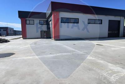 Hale noi de inchiriat Domnesti - putere instalata pana la 600kva - 25