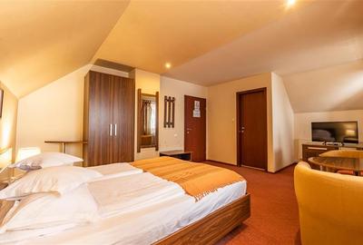 Vila + pensiune, pe 1.500 mp teren, Drumul Poienii, Brasov - 22