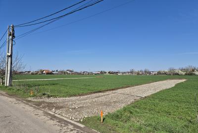 Snagov- Ciofliceni, loturi de casă între 505-628mp, Șerban Cantacuzino! - 8