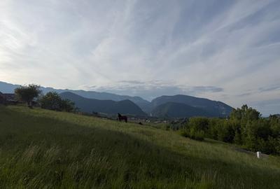 Teren intravilan 1400 mp in satul Pestera, Comuna Moieciu, zona Bran - 19