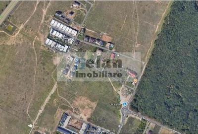 Voluntari - Matei Millo Padure teren 490 mp, d-22, curent - 1