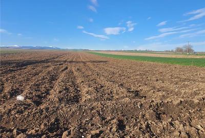 Teren extravilan 4.500- max.18.300mp in comuna Rosia (17 km de Sibiu) - 6