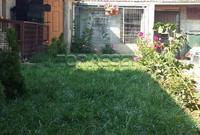 Chiajna - parcul Viitorului - 6