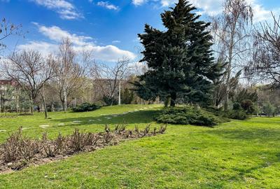 Lângă parc, renovat complet, gata să devină al tău. Totul nou! - 20