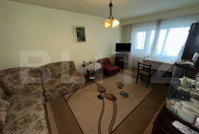 Apartament 3 camere, parter inalt, ideal firma/birouri - DEVA, ZARANDULUI - 1