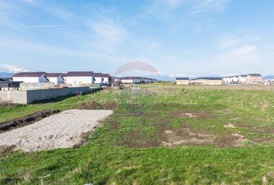 Teren Sanpetru, str Armoniei, 539mp, cu proiect casa si avize in lucru - 8