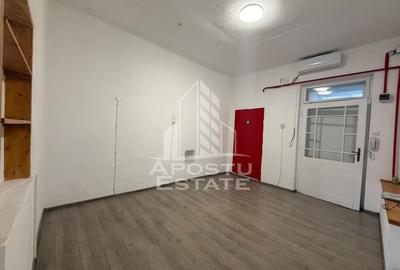 Apartament cu 2 camere,situat la un parter foarte inalt, zona Iosefin - 4