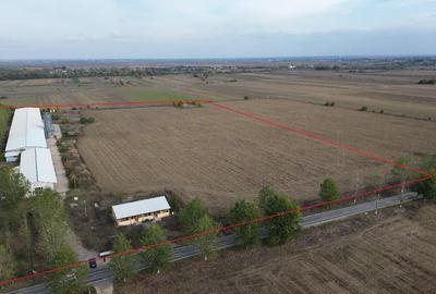 POTLOGI - Dâmbovița | Hală multifuncțională cu teren 8 ha - 1