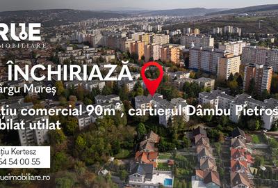 Spațiu comercial, 90 mp în Dâmbu Pietros