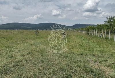 Teren 23700 mp (2,37 ha)-ideal investitie,cabana-Sesul Jelnei - 1