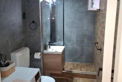 Apartament cu 2 camere B-dul Victoriei, mobilat si utilat lux, loc parcare! - 14