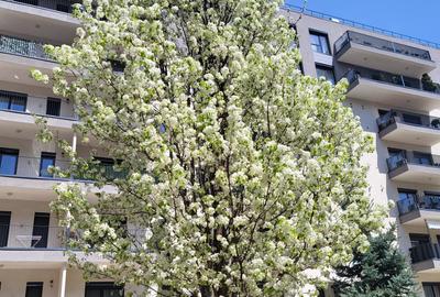 Apartament 2 camere Arcadia Residence | cu parcare | prima chirie mobila Rovere - 2