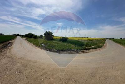 Teren 545,000mp Dragomiresti-Vale - 14