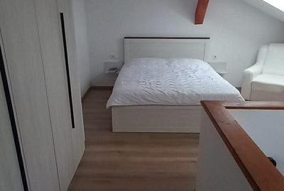Apartament 2 camere Sanpetru - 6