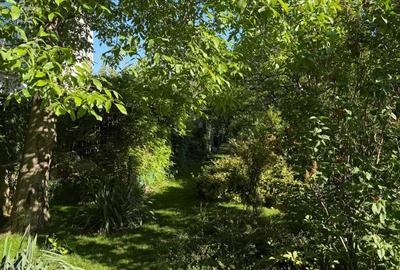 Vilă Bragadiru lângă Sector 6, 5 camere, 210 mp, teren 2000 mp, piscină - 10