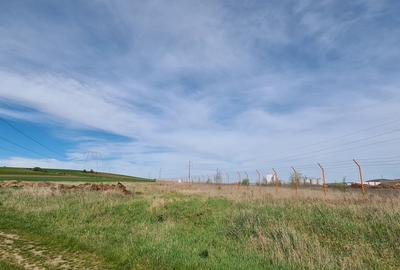 TEREN EXTRAVILAN LANGA FABRICA DE CHERESTEA Holzindustrie Schweighofer - RECI - 10