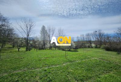 De vanzare casa 6 camere 8142 mp teren in Oarda de Sus - 33