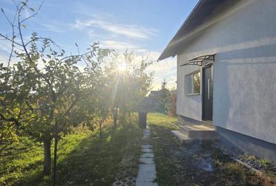 Casa 3 camere si curte cu pomi fructiferi - 11
