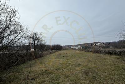 Casa+Teren intravilan 2.056 mp – dubla deschidere – DN Pitesti–Campulung-Arges! - 3