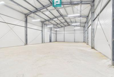 Hală nouă pentru depozitare/ activități comerciale - 1