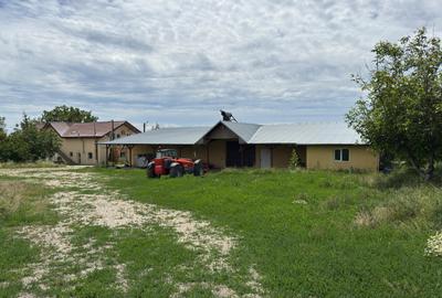 Ferma- spatiu comercial de vânzare Vitanesti -Teleorman - 5
