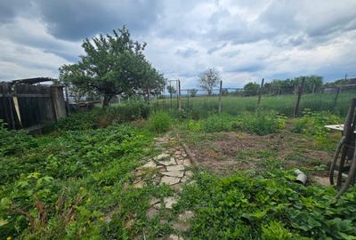 Aproape de Marginimea Sibiului, casa in inima unui parc - 15