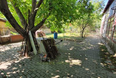 Teren de vanzare. Sacalaz. In vatra veche. Toate utilitatiile. 2373 MP - 2