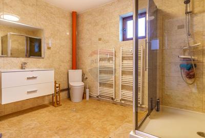 Teren 9.42 ha extravilan + casa 230 mp, COMISION 0% - 17
