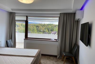 Vila de lux cu piscina si spa Cisnadie super view - 9