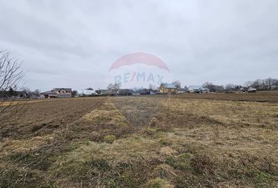 Casă / Vilă cu 12 camere, teren intravilan de 2869mp în Siminicea, SV - 12