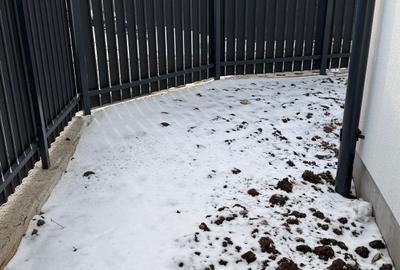 Apartament 3 camere  parter cu curte Otopeni Central - 1