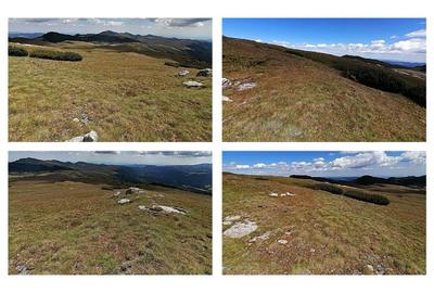 Bucegi zona alpina Ski Resort Padina Pestera - 10