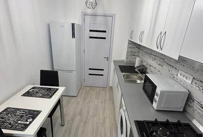 Regie Residence Inchiriere AP 2 Camere Lux ,Grozavesti ,The Bridge Business Park - 9