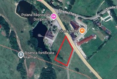 Teren excelent localizat la sosea langa Doripesco / gaz /curent/ apa - 1