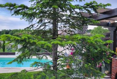 Vila Albatrosului  /Reședință de colecție pe malul lacului  !! 2051 mp, teren - 1