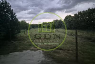 Teren intravilan | 2000 mp | de vânzare- Valea Avrigului - 1