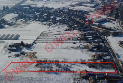 Teren intravilan de vânzare în Chichiș! - 2