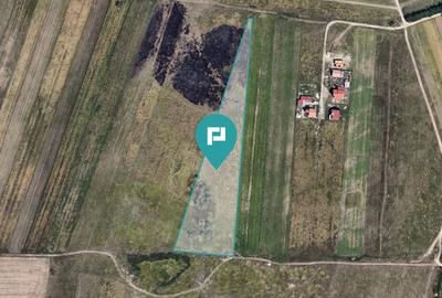 Teren agricol extravilan de 10000 mp, în Giroc