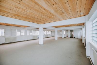 HALE SI SPATIU ADMINISTRATIV DE INCHIRIAT ZONA GARII SIBIU - 15