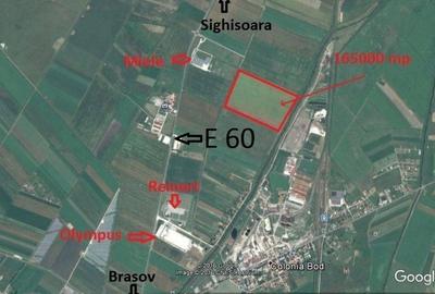 Teren Construcții intravilan de 165000 mp, în Feldioara