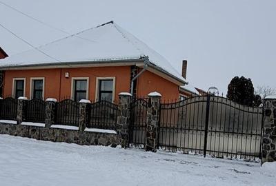 Casă + sediu firmă – investitie in Diosig cu teren generos - 16