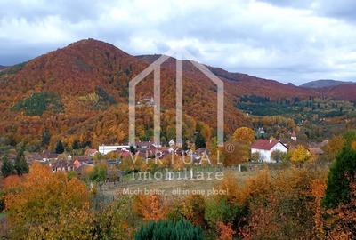 Casa de vanzare in Sibiu Cisnadioara, mobilata si utilata complet - 13