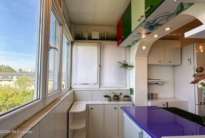 Fizicienilor - Lacramioarei, 3 camere 67 mp, pod 40 mp, modernizat - 21