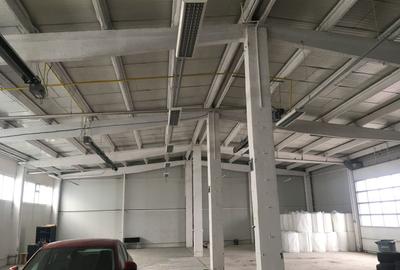 Spațiu industrial, în Griviței