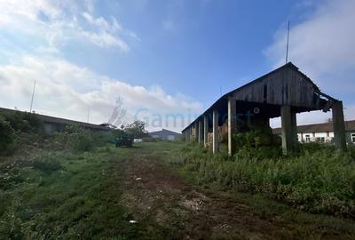 Hală industrială 1800 mp de depozitare de vânzare, Bihor - 5