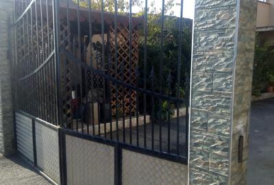 Casa de locuit P+M Comuna Lazareni, sat Cărăndeni - 5