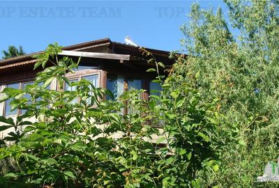 Super afacere, vila cu aspect de conac cu spatii moderne dar si clasice antichiz - 2