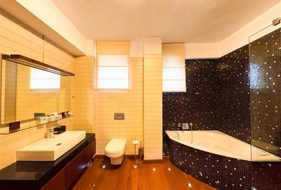 Apartament de inchiriat 3 camere Herastrau Nordului - 25