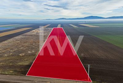 Teren exceptional pentru investitii industriale langa Brasov - 10